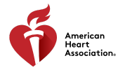 A.H.A Logo V3