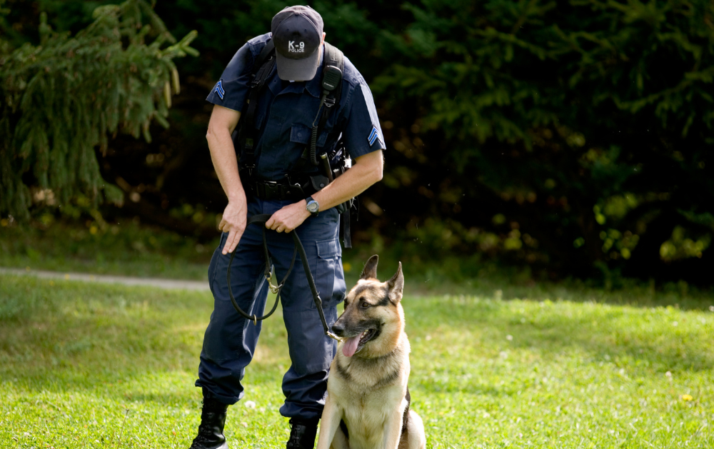 How Special Police Training Improves Public Safety - Westshore-E.M.R